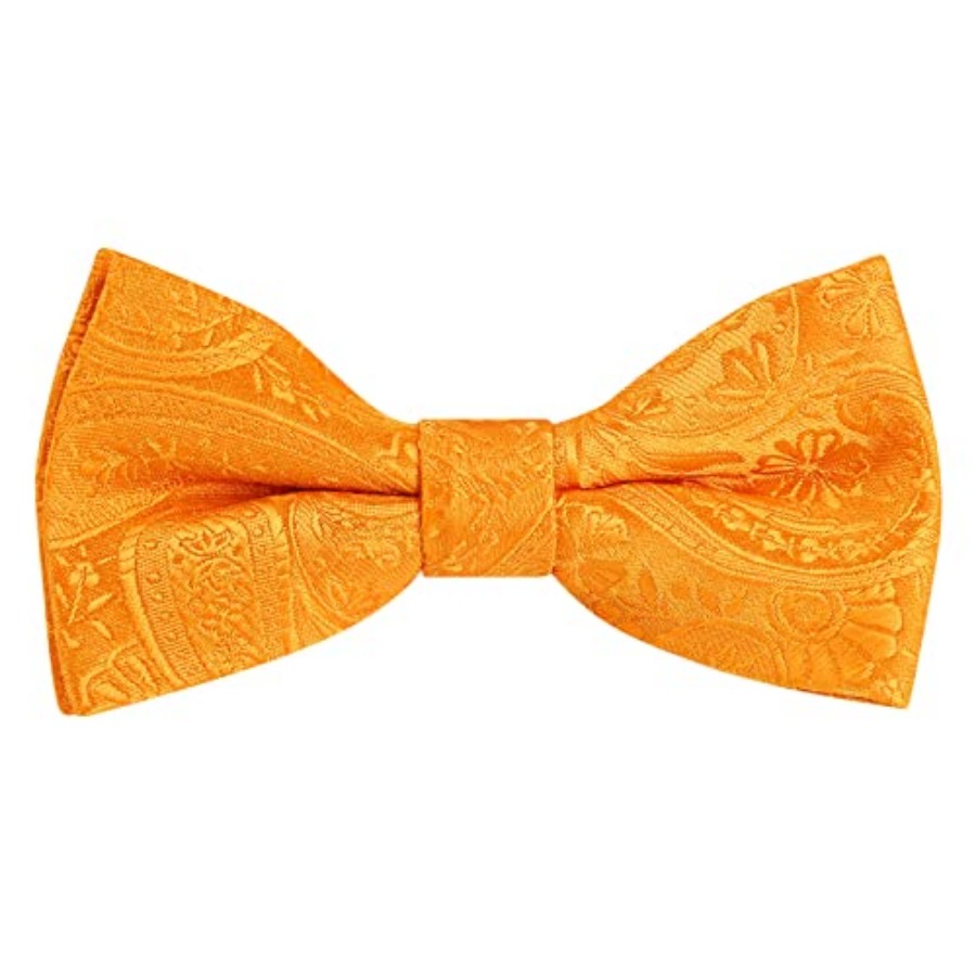 Alizeal Boys Classic Paisley A - Bow Tie Pre Tied recensie en prijs