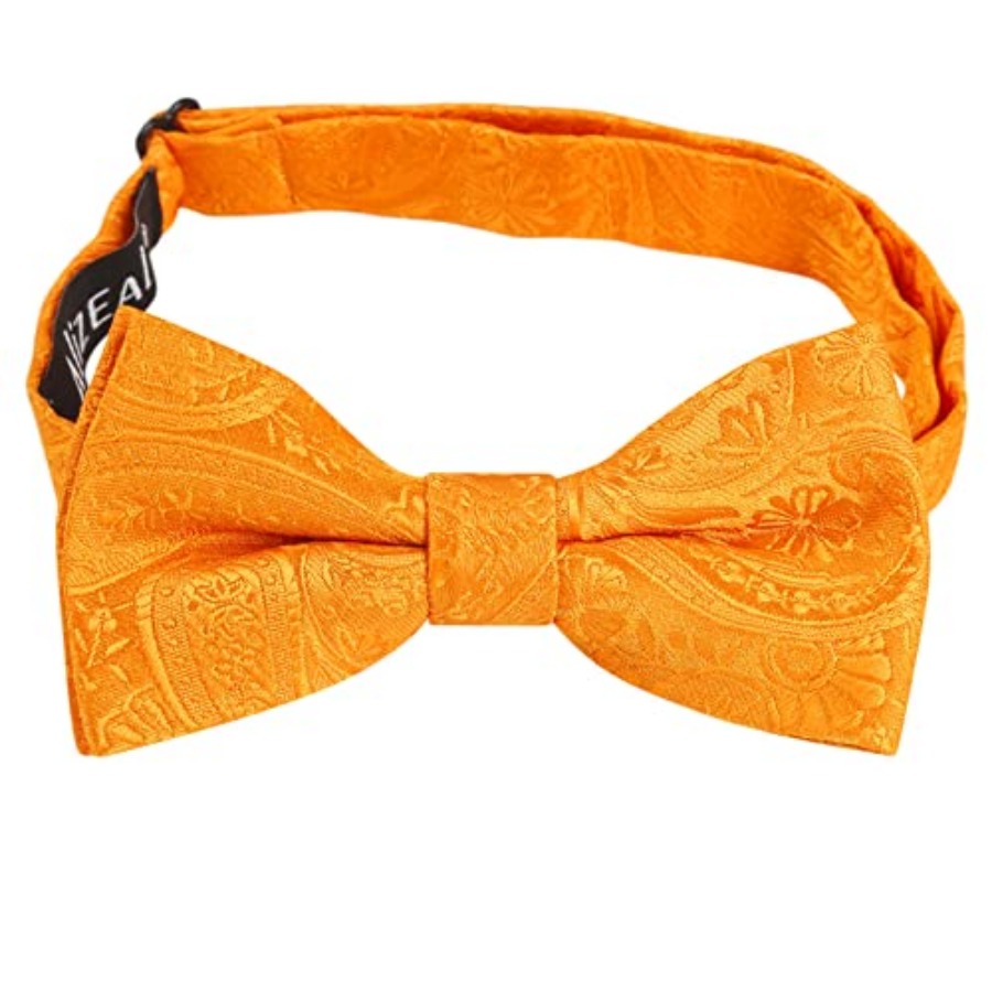 Alizeal Boys Classic Paisley A - Bow Tie Pre Tied recensie en prijs