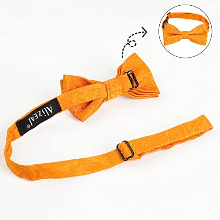 Alizeal Boys Classic Paisley A - Bow Tie Pre Tied recensie en prijs